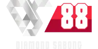 DS88 COLOR