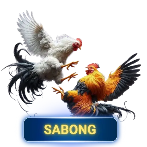 SABONG